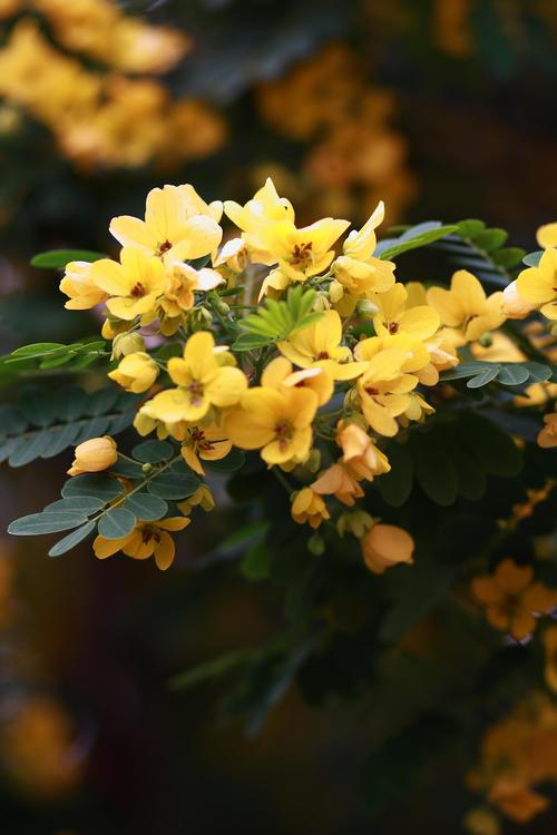 監制:廣州不二文化傳播有限公司  廣州不二文化傳播有限公司業務簡介