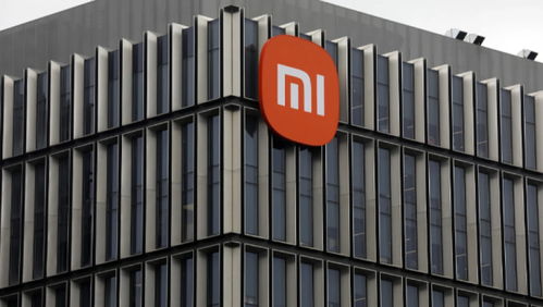 探電的主頁(yè)