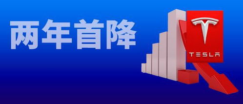 上海工廠停產(chǎn)22天,特斯拉季度業(yè)績兩年環(huán)比首次下滑