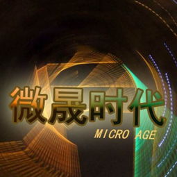 牡丹江市微盛時代廣告工作室誠聘網絡銷售 互聯網廣告業務 人事專員 銷售主管 銷售經理