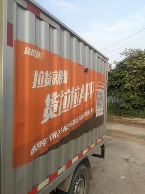 貨拉拉車貼是否違規